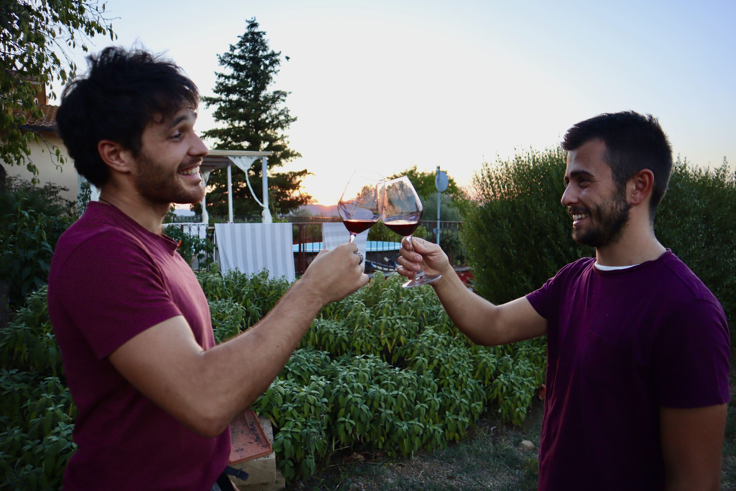 CANTINA DELLA LUCE SOCIETA' SEMPLICE AGRICOLA — foto 3