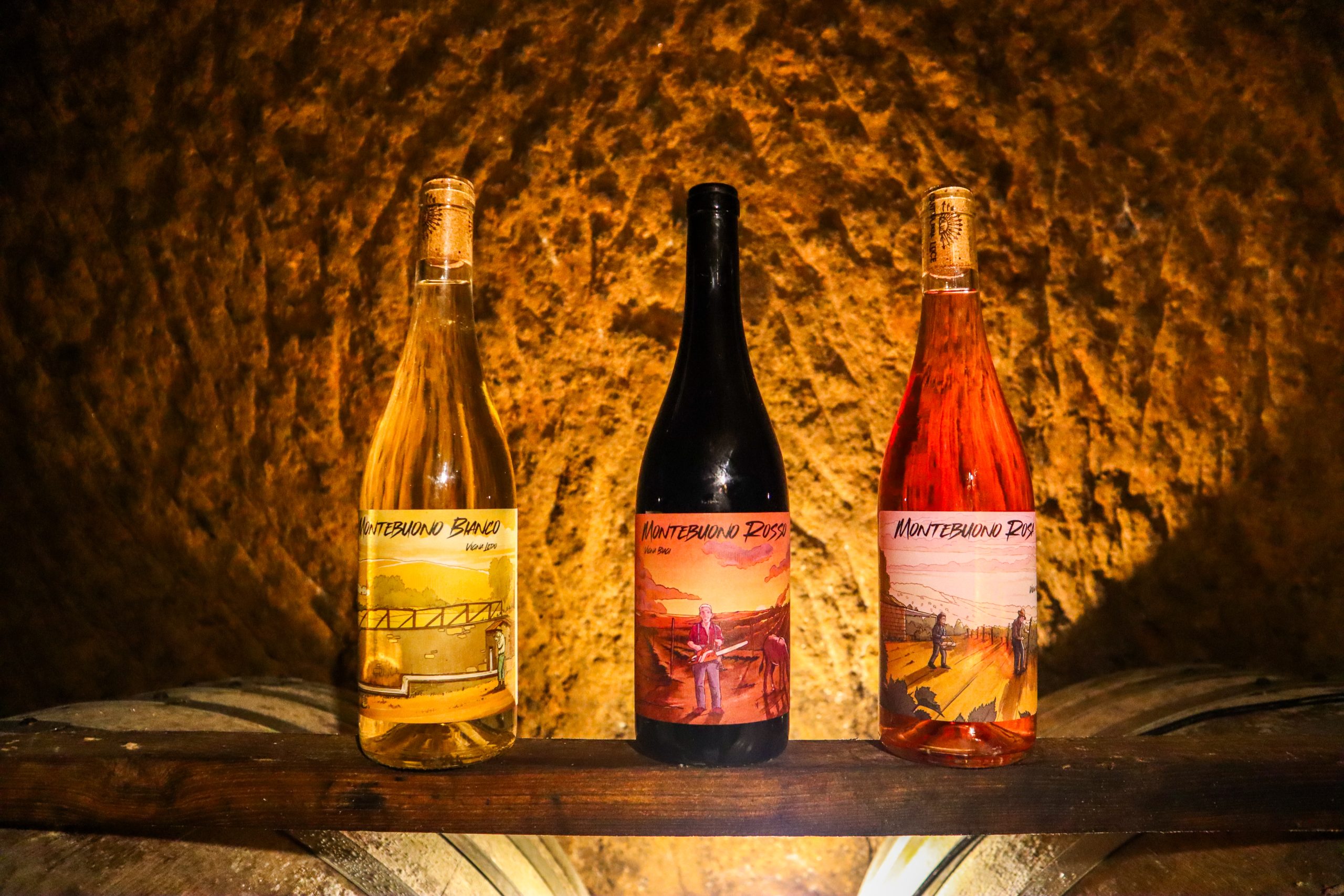 CANTINA DELLA LUCE SOCIETA' SEMPLICE AGRICOLA — foto 2