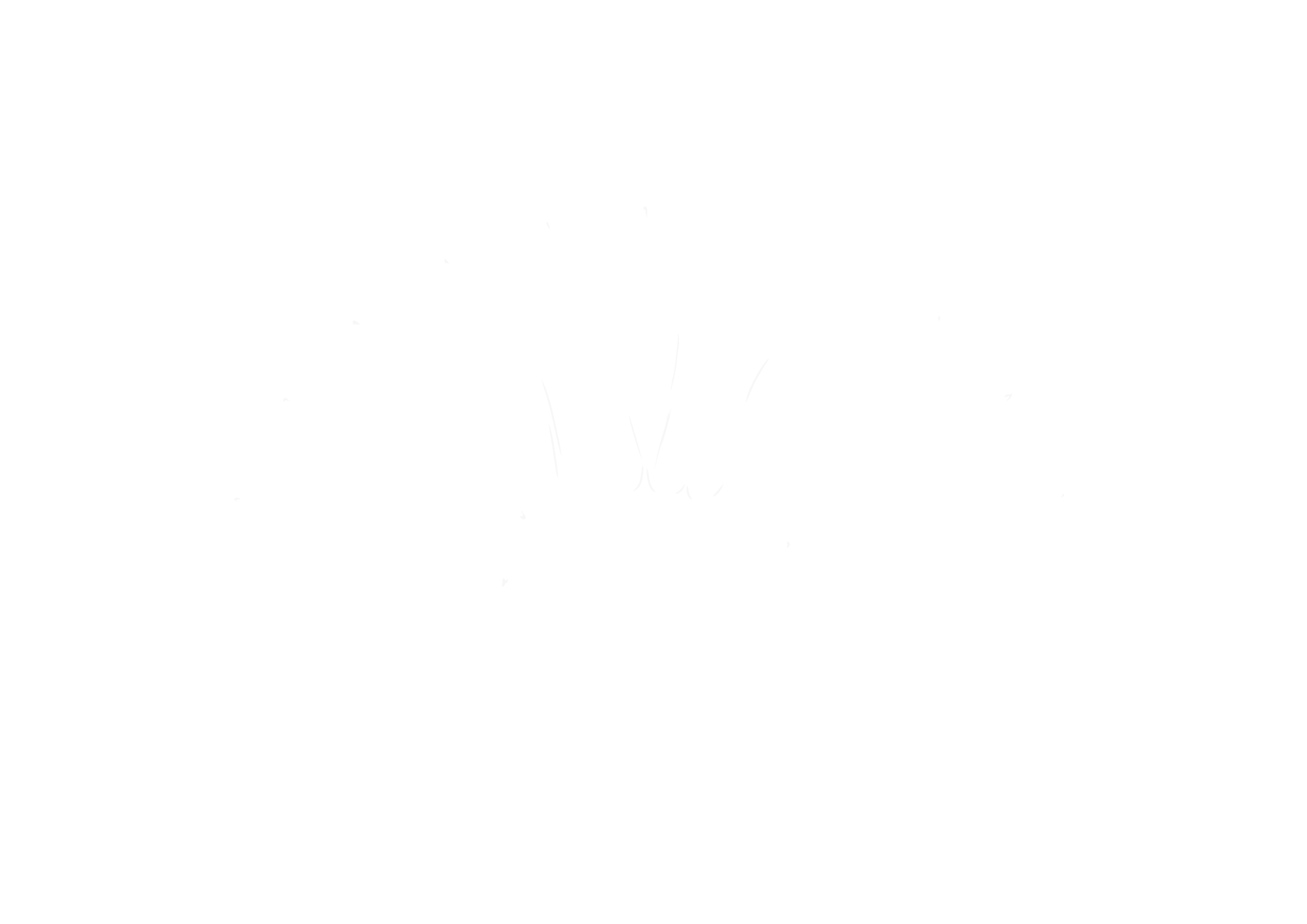 CANTINA DELLA LUCE SOCIETA' SEMPLICE AGRICOLA — foto 8